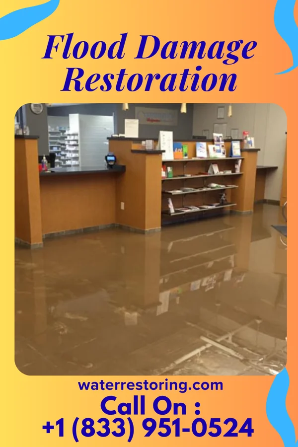 Flood Damage Restoration in Williams, IA
